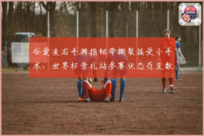 谷爱凌右手拇指韧带撕裂接受小手术，世界杯崇礼站参赛状态存变数