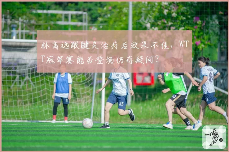 林高远跟腱炎治疗后效果不佳,WTT冠军赛能否登场仍存疑问?
