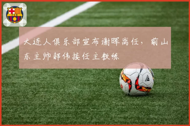 大连人俱乐部宣布谢晖离任，前山东主帅郝伟接任主教练