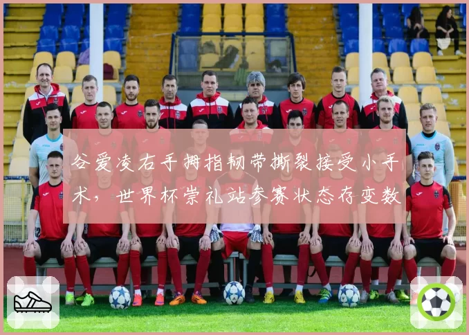 谷爱凌右手拇指韧带撕裂接受小手术，世界杯崇礼站参赛状态存变数