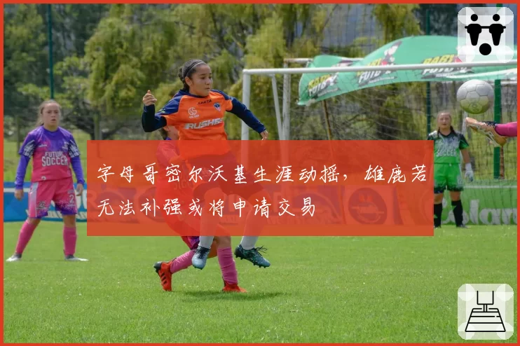 字母哥密尔沃基生涯动摇，雄鹿若无法补强或将申请交易