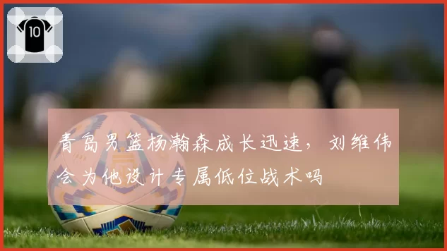 青岛男篮杨瀚森成长迅速，刘维伟会为他设计专属低位战术吗